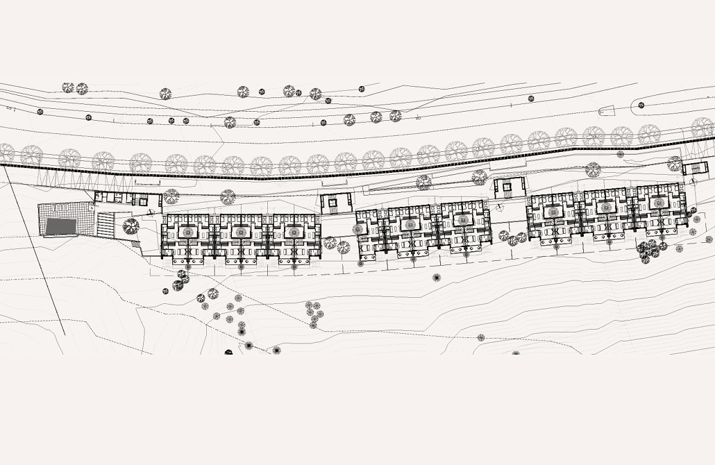 Proyectos Madera Viva5